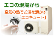 �G�R�̌��ꂩ��@��C�̔M�ł����𕦂����u�G�R�L���[�g�v