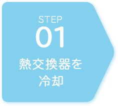 STEP01 Mp
