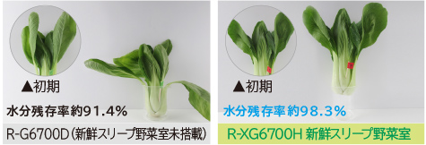R-G6700D（新鮮スリープ野菜室未搭載） R-G6700D（新鮮スリープ野菜室未搭載） R-XG6700H 新鮮スリープ野菜室 水分残存率約98.3％