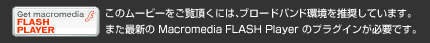 ̃[r[ɂ́Au[hoh𐄏Ă܂B܂ŐV Macromedia FLASH Player ̃vOCKvłB