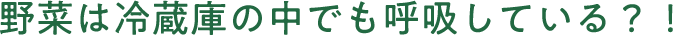 野菜は冷蔵庫の中でも呼吸している？！