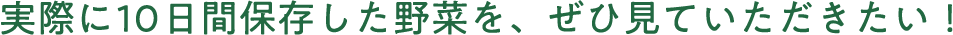 実際に10日間保存した野菜を、ぜひ見ていただきたい！
