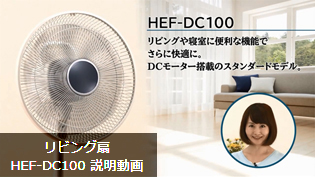 rO HEF-DC100 