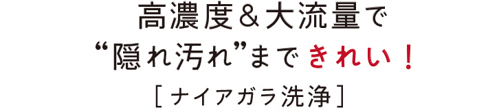 高濃度&大流量で“隠れ汚れ”まできれい！［ナイアガラ洗浄］