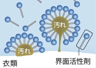 衣類と界面活性剤のイメージ図