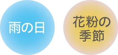 雨の日 花粉の冬季節