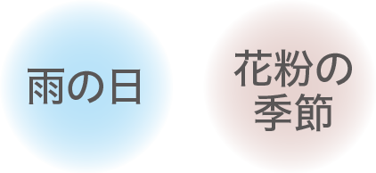 雨の日 花粉の冬季節