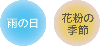 雨の日 花粉の冬季節