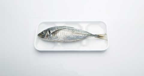 魚丸身・干物の解凍