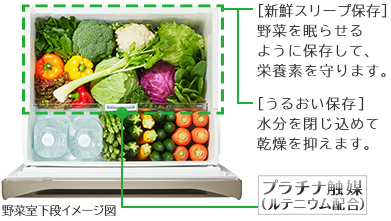 HWSタイプ ： 冷蔵庫 ： 日立の家電品
