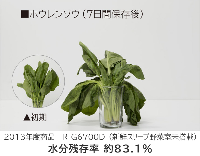 特長：新鮮スリープ野菜室： 冷蔵庫 ： 日立の家電品