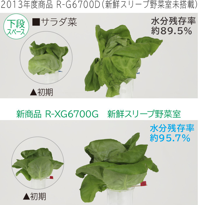 特長：新鮮スリープ野菜室： 冷蔵庫 ： 日立の家電品