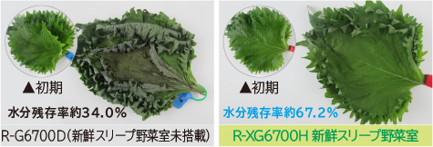 R-G6700D（新鮮スリープ野菜室未搭載） R-G6700D（新鮮スリープ野菜室未搭載） R-XG6700H 新鮮スリープ野菜室 水分残存率約67.2％
