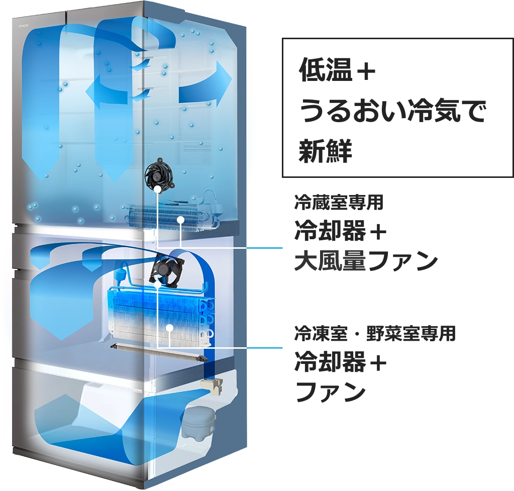低温+うるおい冷気で新鮮 冷蔵室専用冷却器+大風量ファン 冷凍室・野菜室専用冷却器+ファン