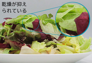 乾燥が抑えられている