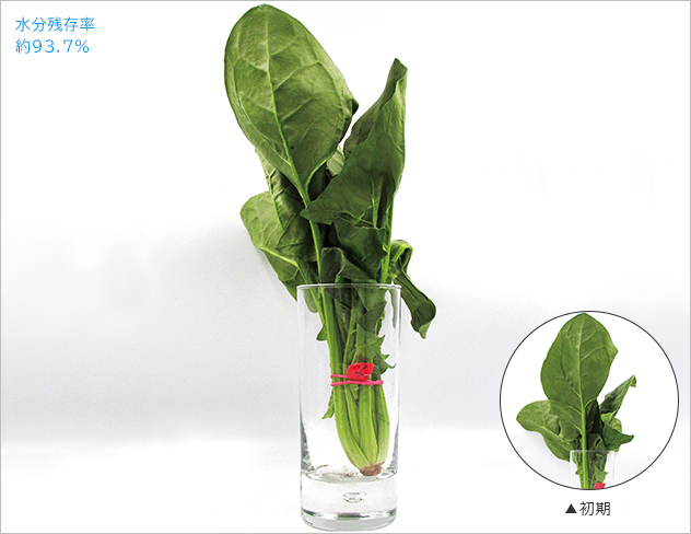 水分残存率約93.7％