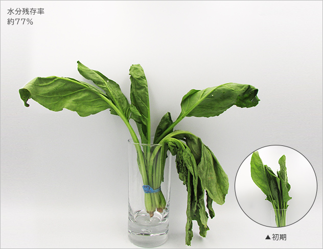 水分残存率約89.6％