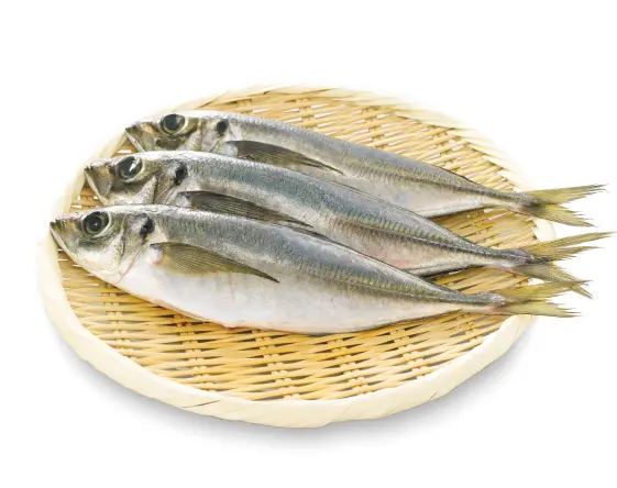 アジ