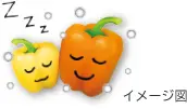 イメージ図