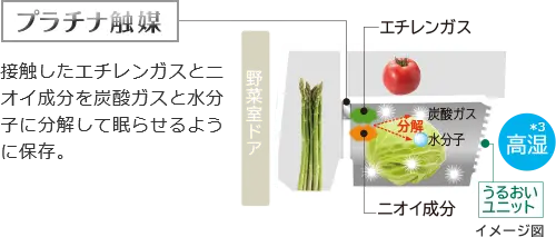 接触したエチレンガスとニオイ成分を炭酸ガスと水分子に分解して眠らせるように保存。