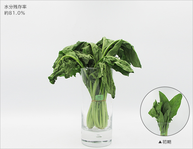 水分残存率約89.6％