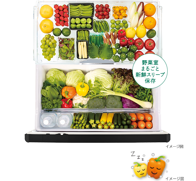 特長：新鮮スリープ野菜室 ： 冷蔵庫 ： 日立の家電品