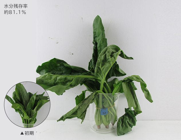 水分残存率 約88.3％