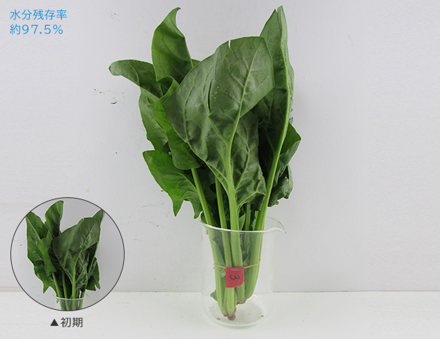 水分残存率 約96.1％