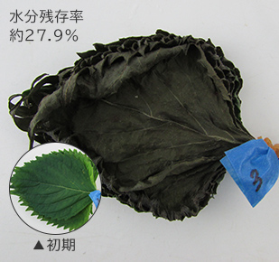 水分残存率 約49.0％