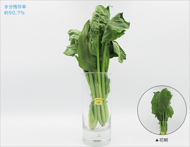 水分残存率約93.7％