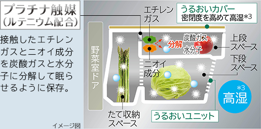 接触したエチレンガスとニオイ成分を炭酸ガスと水分子に分解して眠らせるように保存。