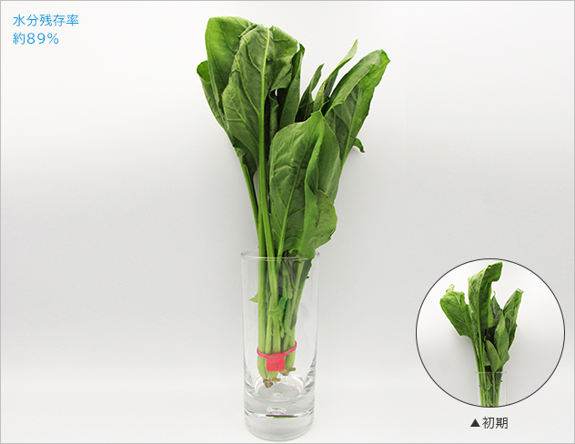 水分残存率約89％