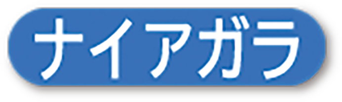 ナイアガラコース