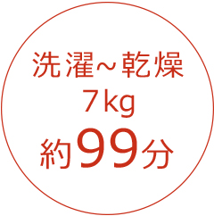 洗濯〜乾燥6kg 約95分 BD-NX120H