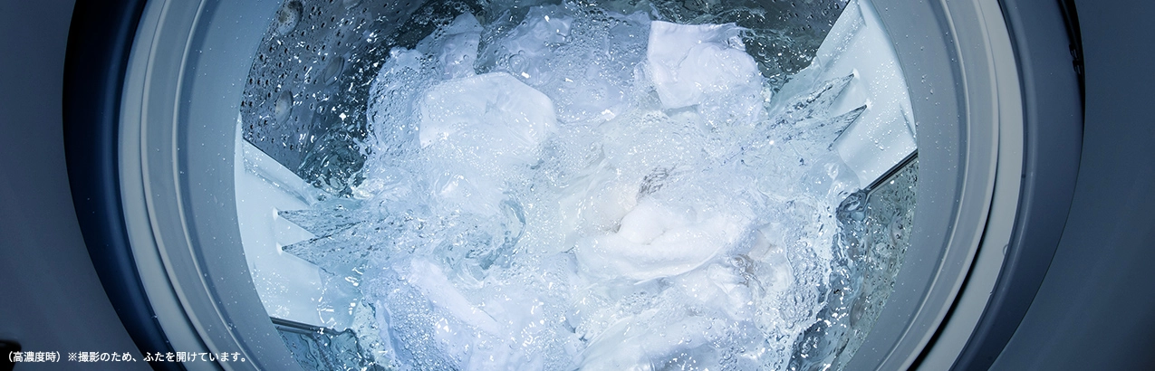 (低水位時)※撮影のため、ふたを開けています。